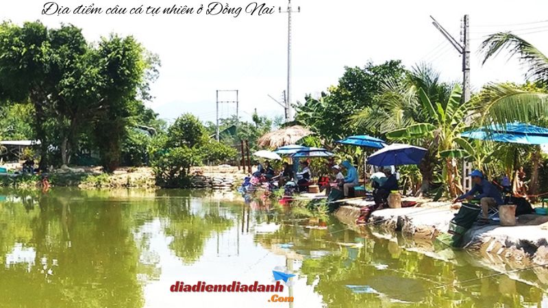 Địa điểm câu cá tự nhiên ở Đồng Nai