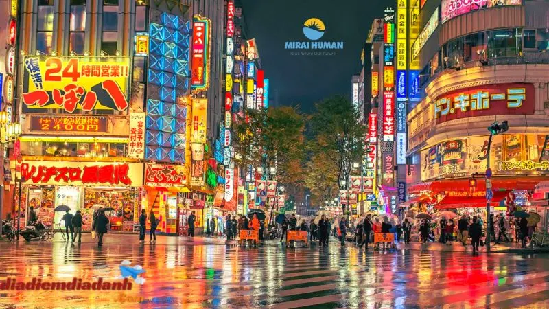 Top 8 Địa Điểm Đẹp Về Đêm Ở Tokyo